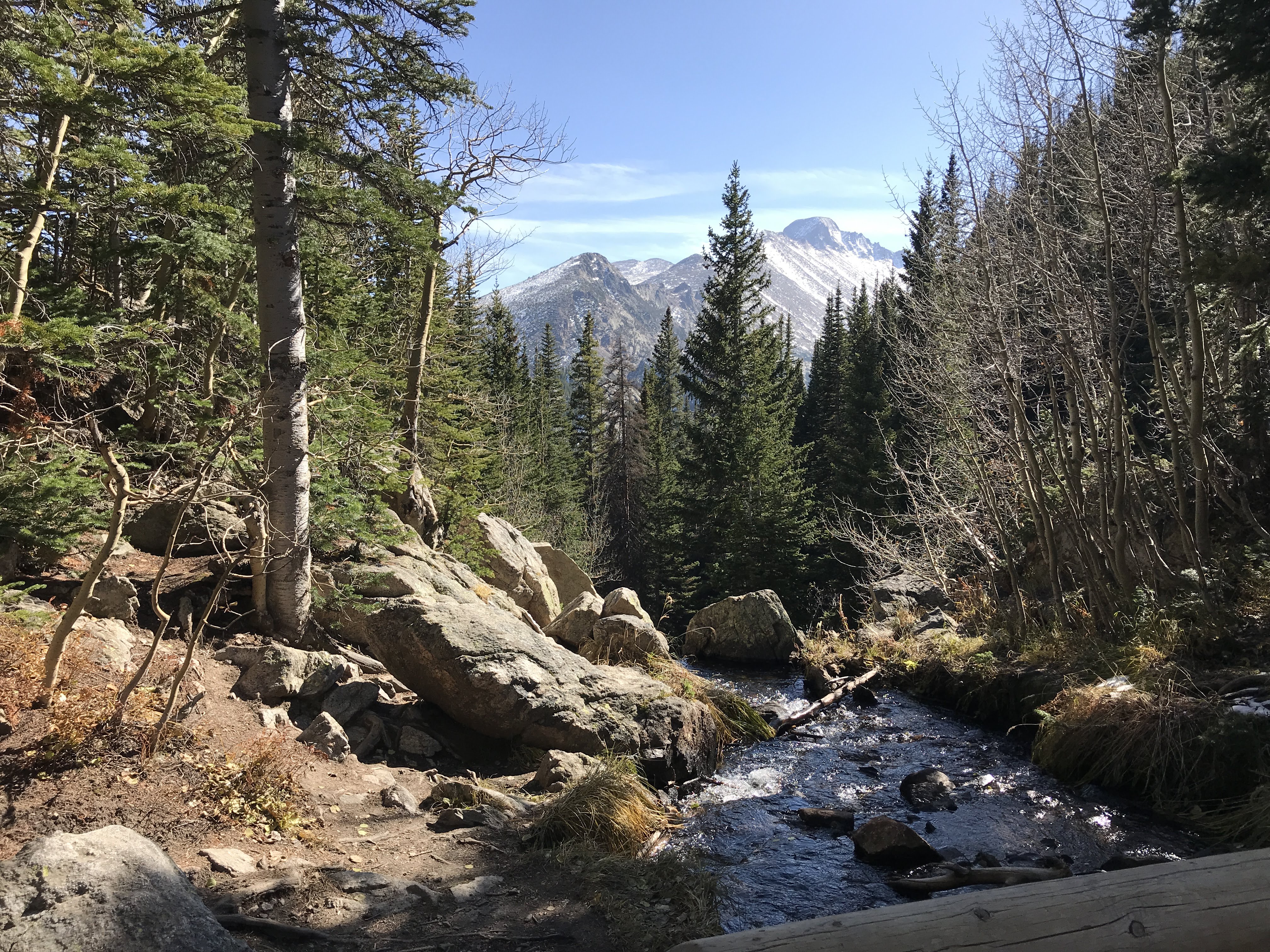 Mountain stream and forest trail representing growth and steady progress.